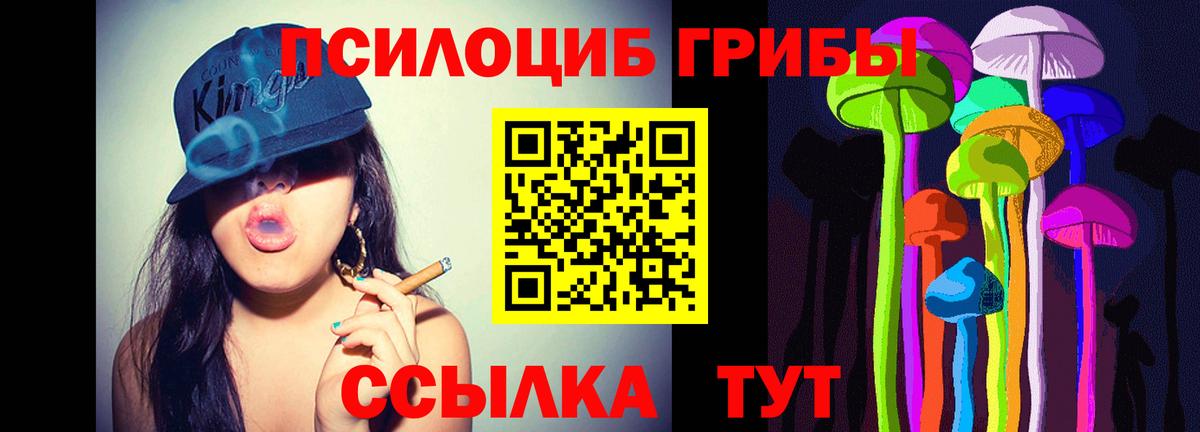 Псилоцибиновые грибы Psilocybine cubensis Озёры