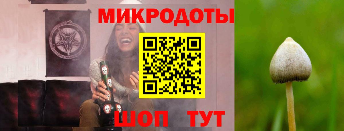 Псилоцибиновые грибы ЛСД  Вход с VPN  Озёры 